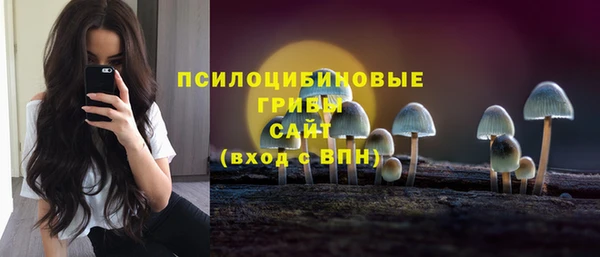 дмт Армянск