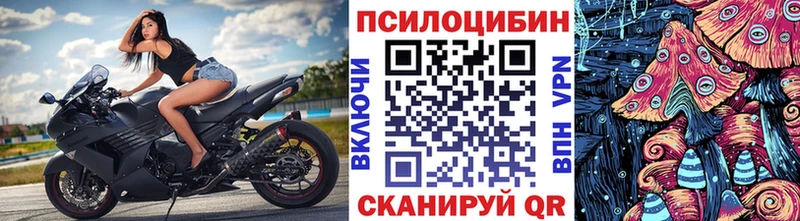 Псилоцибиновые грибы GOLDEN TEACHER Билибино